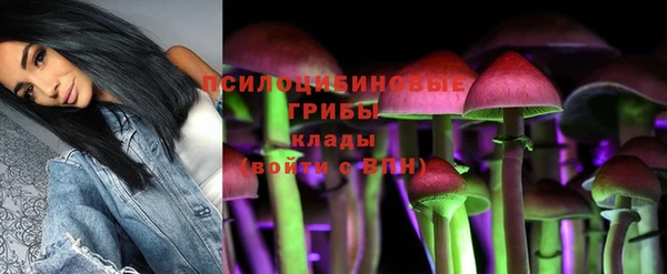 а пвп мука Алзамай