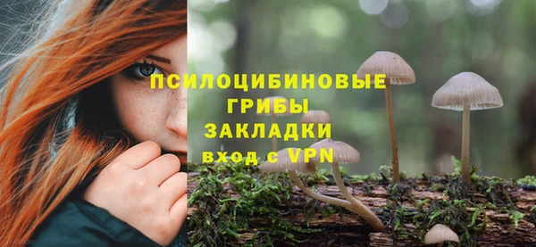 а пвп мука Алзамай